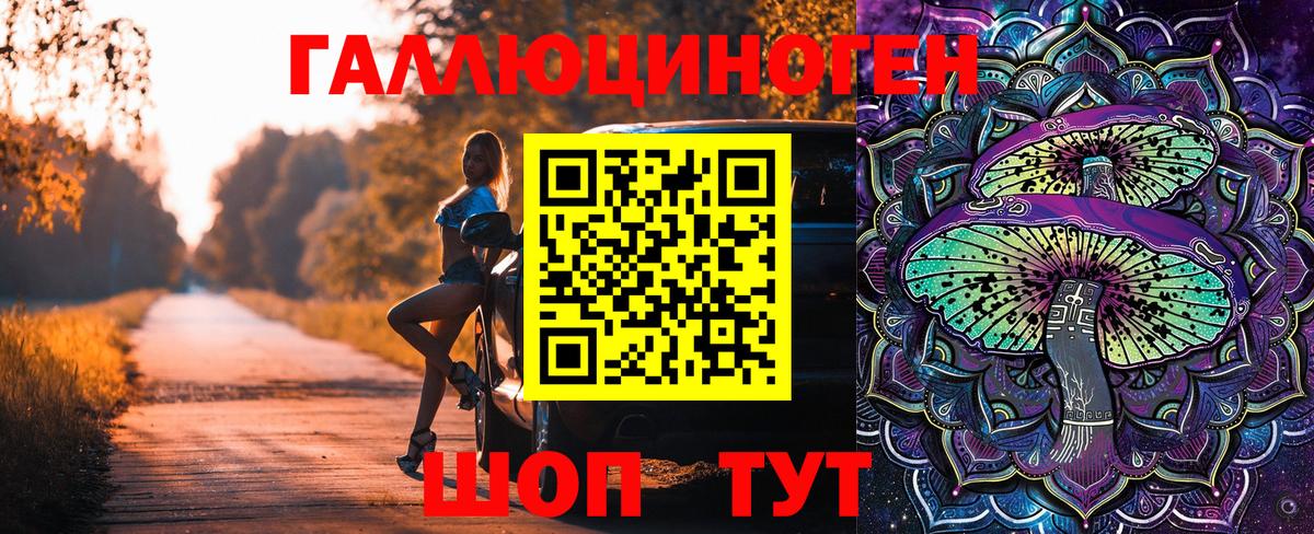 Псилоцибиновые грибы Psilocybe Усть-Илимск