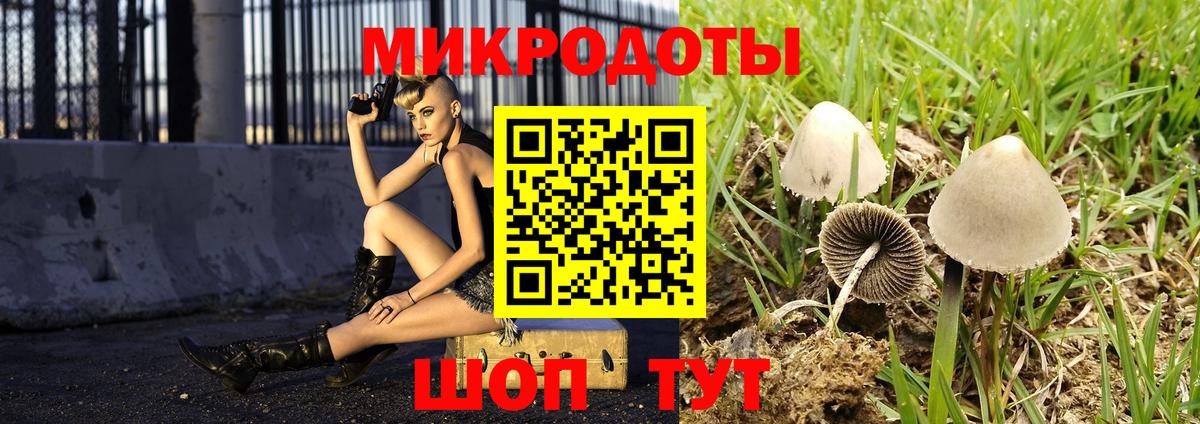Псилоцибиновые грибы GOLDEN TEACHER  Вход с VPN  Усть-Илимск 