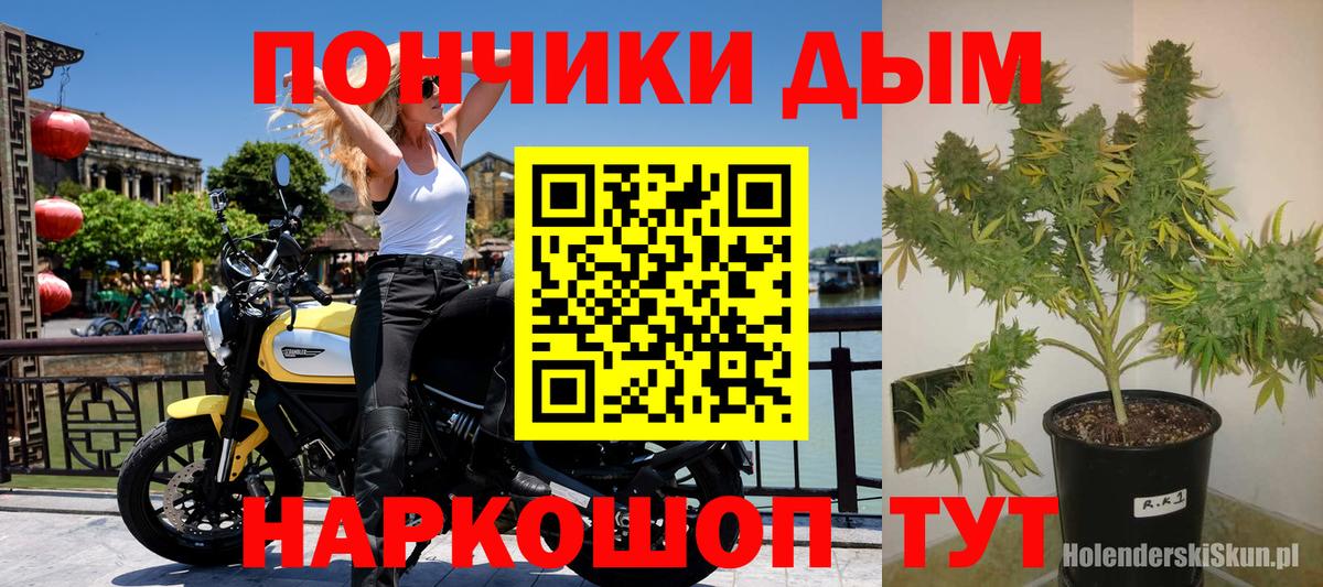 Каннабис Ganja  Канабис план  Канабис ГИДРОПОН  Усть-Илимск  Вход с VPN  Марихуана THC 21% 